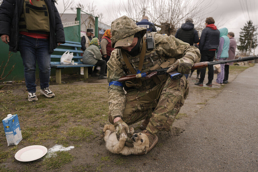 Russia Ukraine War Day In Photos